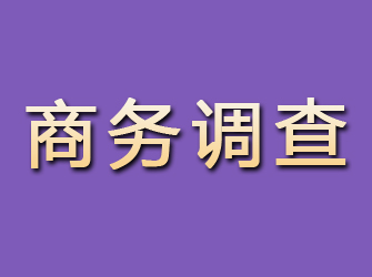 怀安商务调查